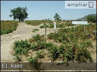 - Pulse para ampliar esta Fotografía