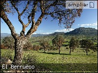 - Pulse para ampliar esta Fotografía