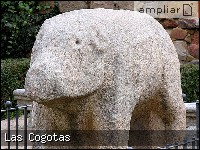 - Pulse para ampliar esta Fotografía